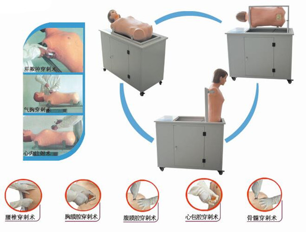 高級全自動多種穿刺叩診電腦模擬人