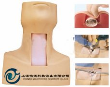 高級環甲膜穿刺及氣管切開插管模型