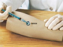 高級手臂皮內注射模型