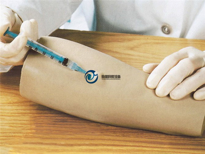 高級手臂皮內注射模型