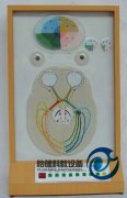 電動瞳孔對光反射模型