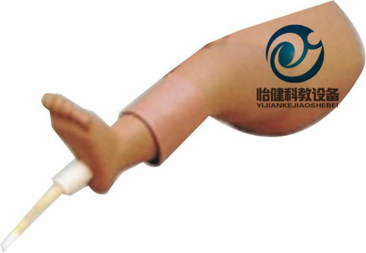 嬰兒骨內灌注模擬人
