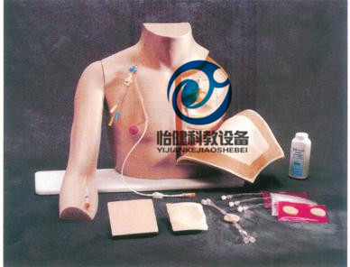 胸部注射訓(xùn)練模型