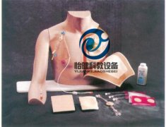 胸部注射模擬人