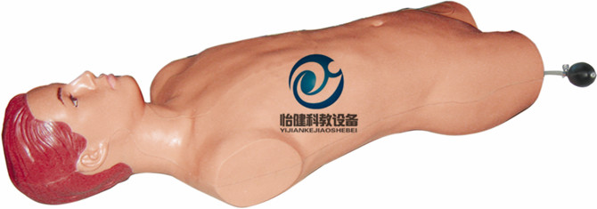 腹腔與股靜脈穿刺模型