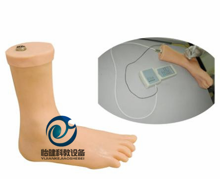 踝關節穿刺注射電子監測模型